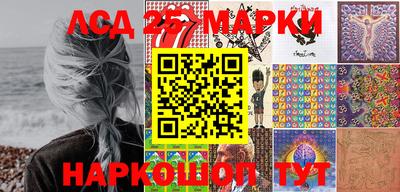 винт Новокубанск