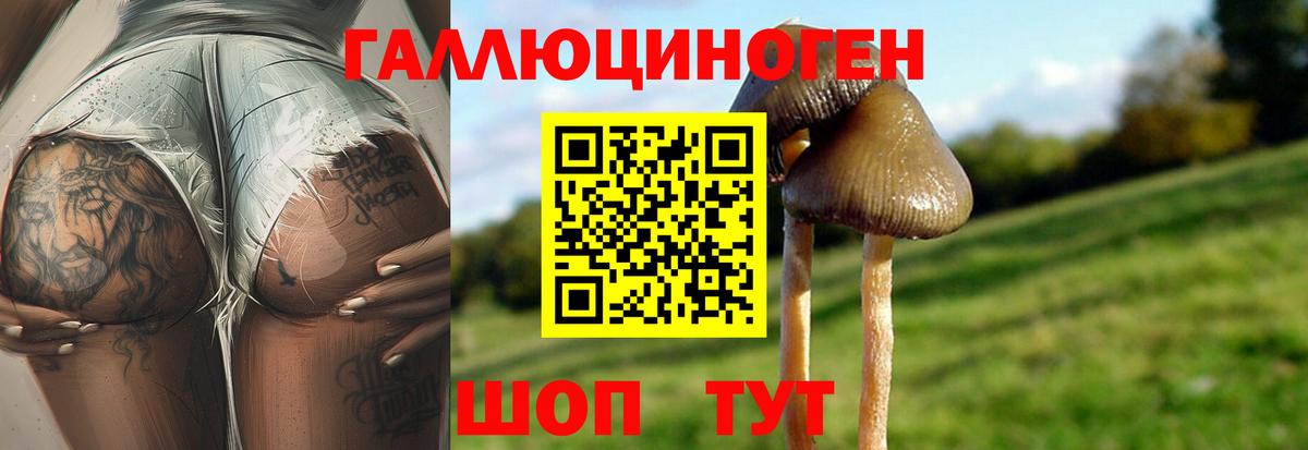Псилоцибиновые грибы мицелий Сосновоборск